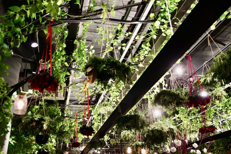 greenhouse表参道の天井装飾。吊り下げられたグリーンと照明が織りなす温室空間
