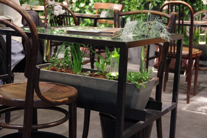 表参道greenhouseの店内、ガラステーブル下に組み込まれた小さな植栽スペースと木製チェア
