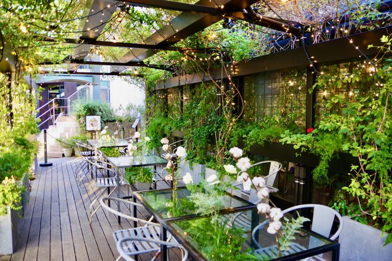 表参道greenhouseのテラス席　蔓植物と照明が印象的なガーデンテラス