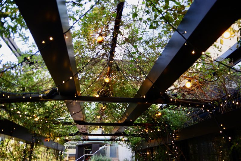 表参道greenhouseのテラス席天井　植物とライトが広がる立体的な空間演出